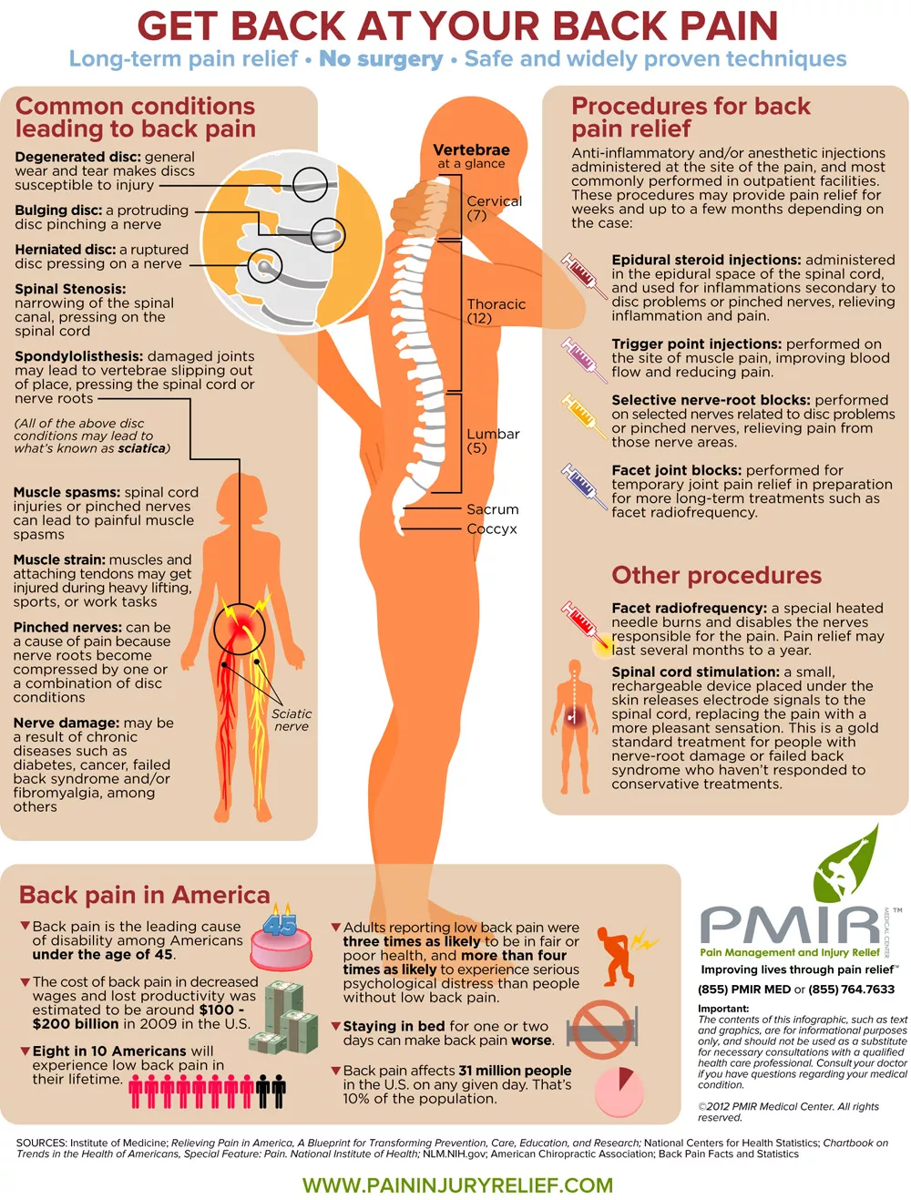 Back Pain Infographic