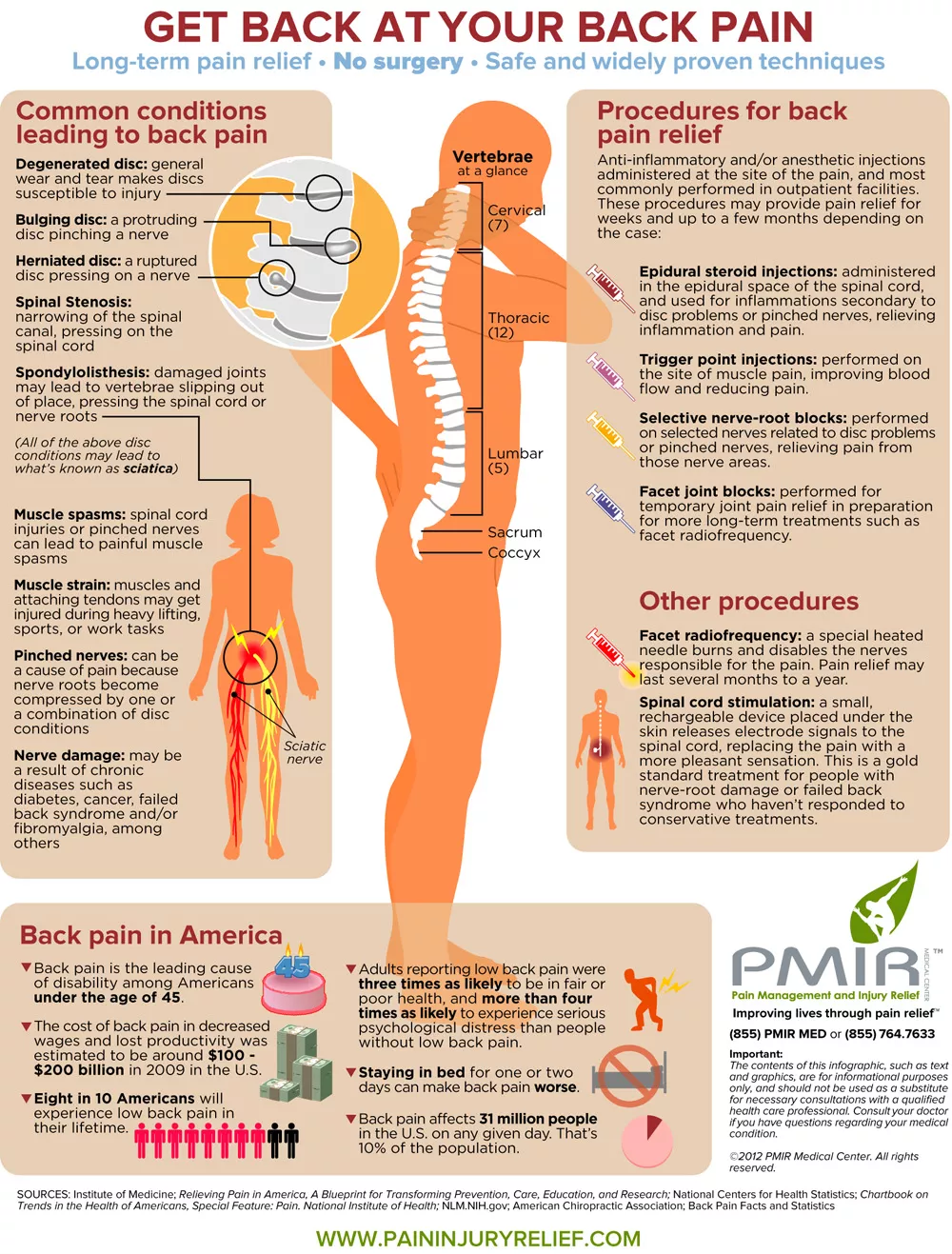 Herniated Disc and Symptoms (Infographic)