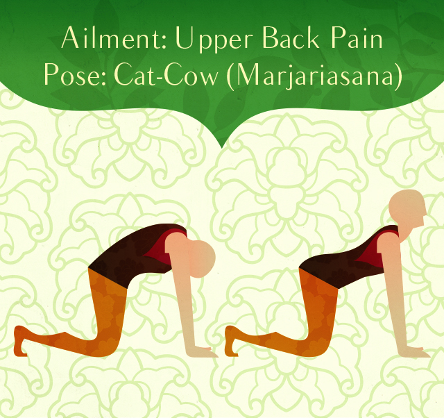 Cat Cow Pose - Yoga Poses For The Most Common Aches and Pains