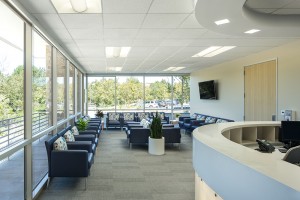 Pain Management and Injury Relief