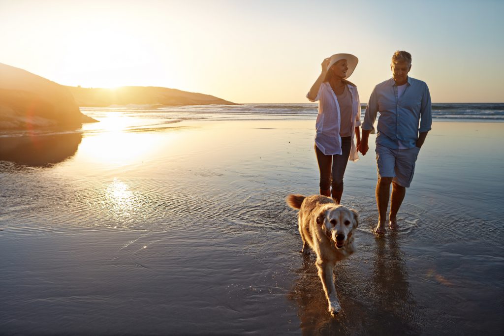 dog-beach-walking-peripheral-neuropathy