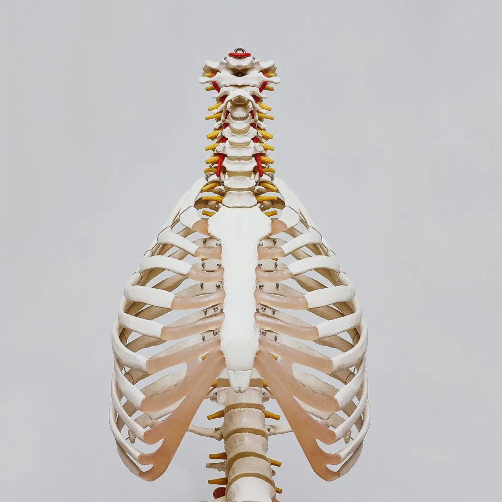 Role of Intercostal Nerve Blocks in Pain Management - PMIR