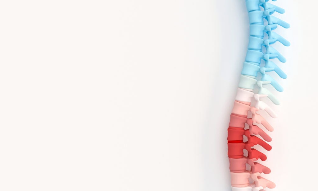 Dermatome Chart 101: Understanding Spinal Nerves and Locations - Pain Management & Injury Relief