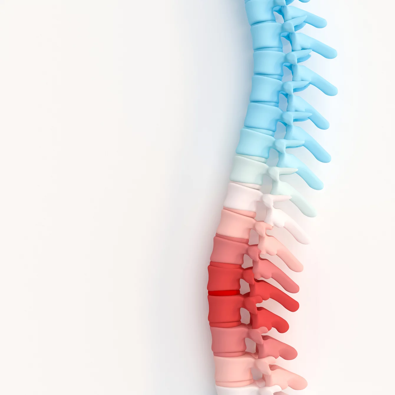 Dermatome Chart 101: Understanding Spinal Nerves and Locations - Pain Management & Injury Relief