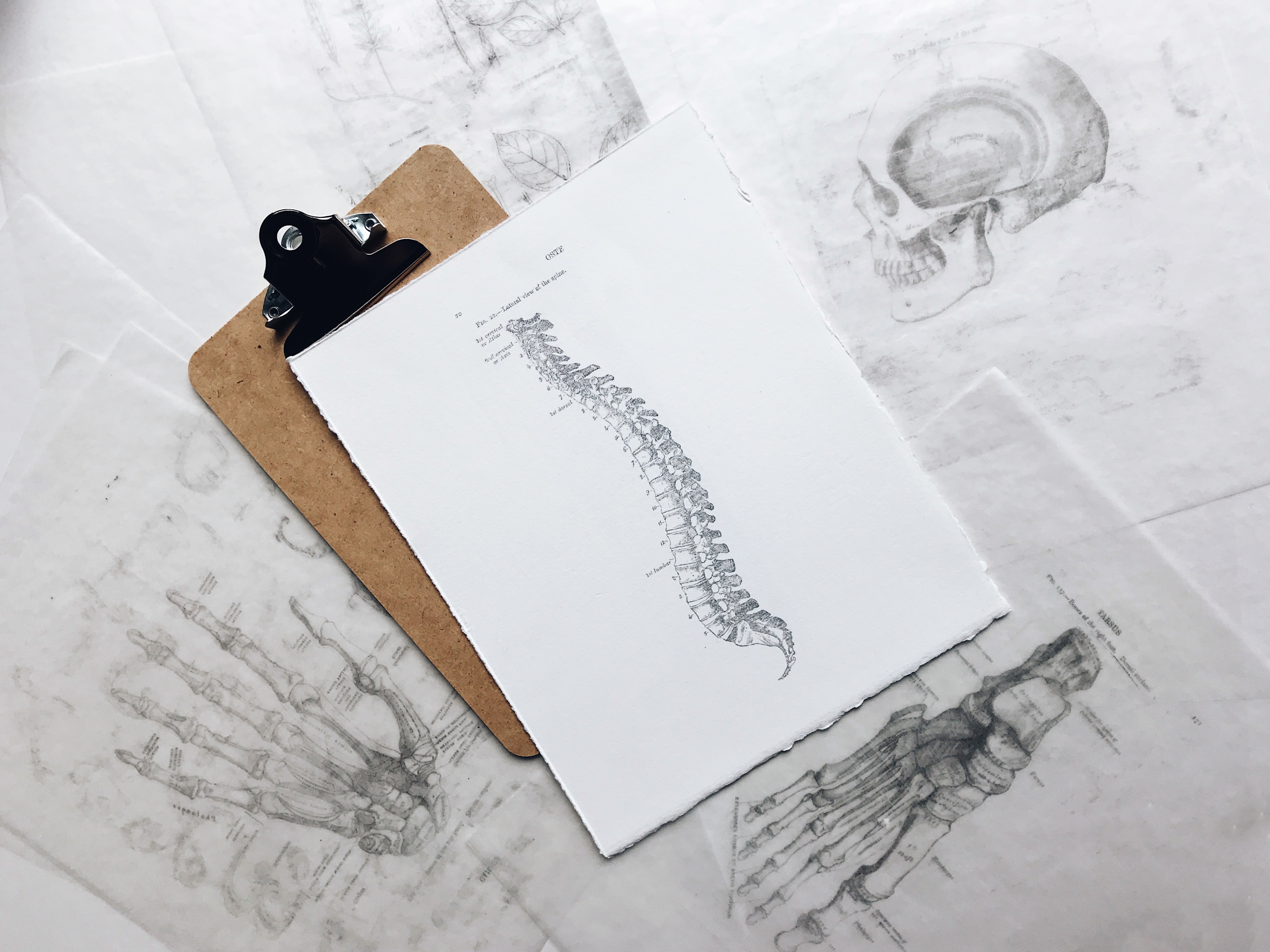 Here's What Your Surgeon Should Know Before Spine Surgery - PMIR