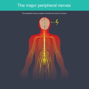Nerve Blocks For Pain - Pain Management and Injury Relief