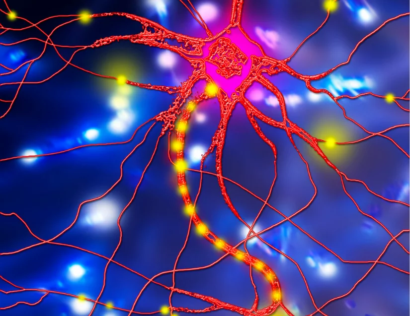 Can Damaged Nerves Heal - Pain Injury & Management Relief