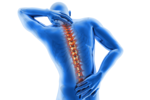 Pain and Spine Specialist