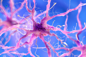 Nerve Damage Recovery