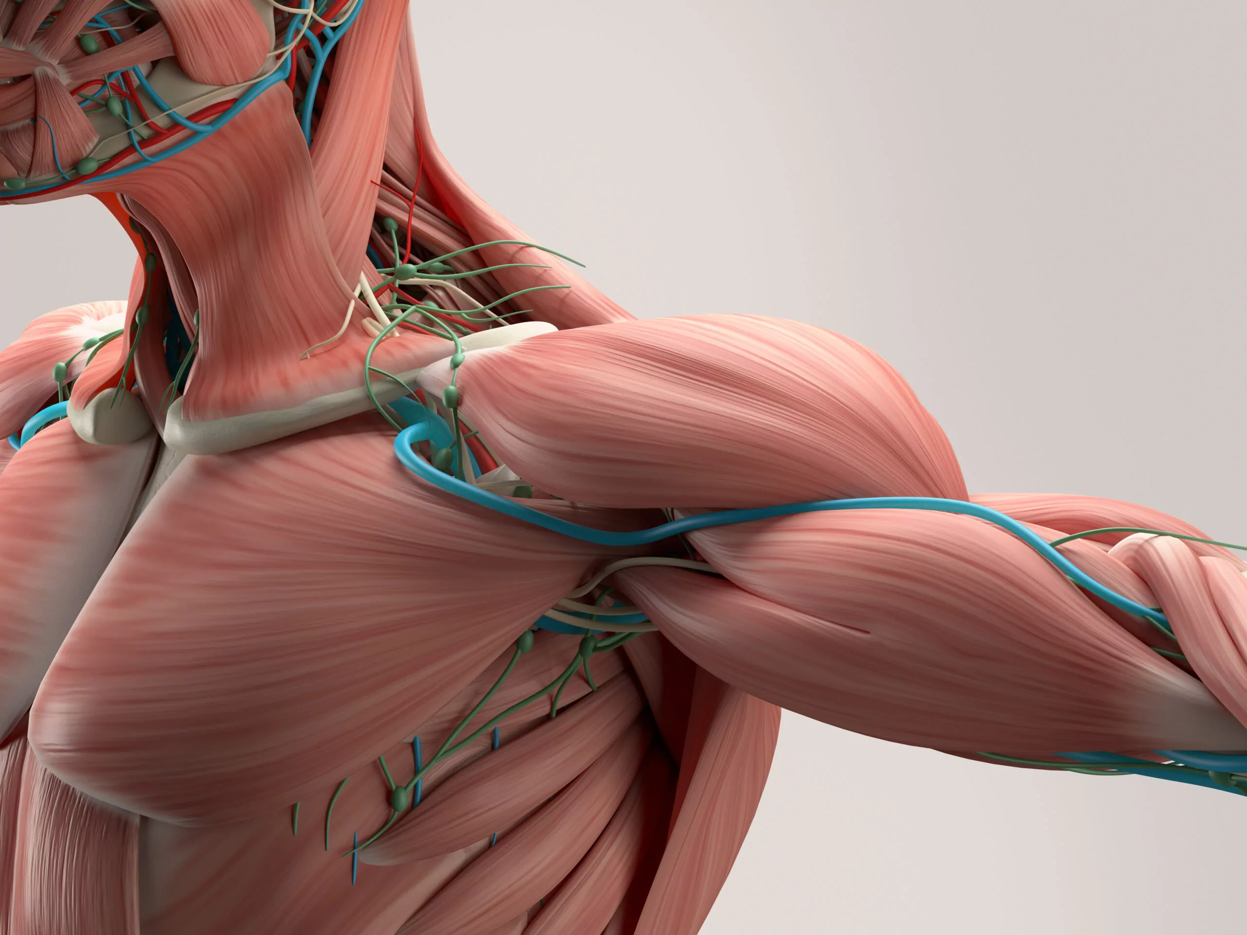6 Painful Chest Muscle Strain Symptoms - PMIR