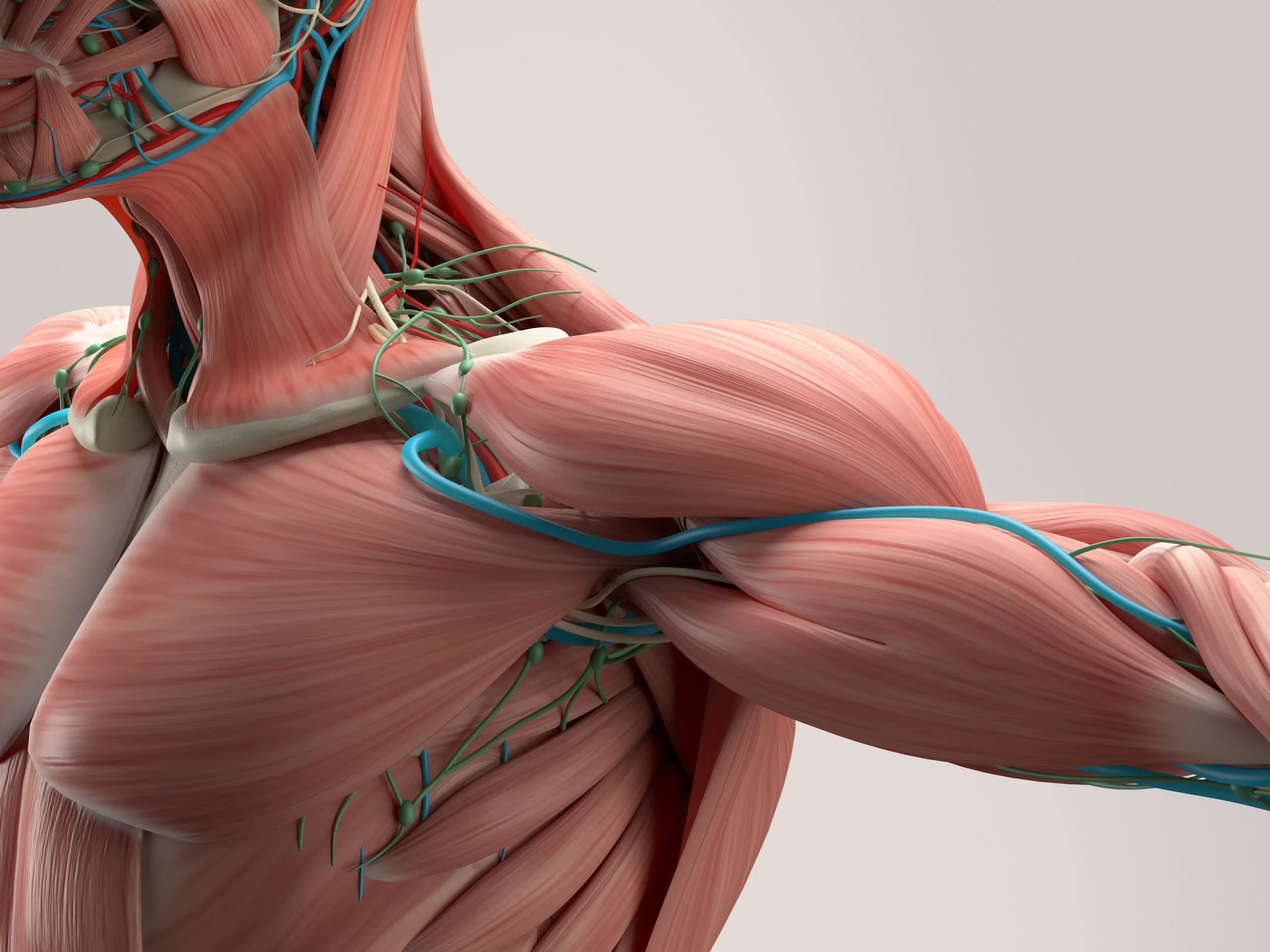 Strained Back Muscle Causing Chest Pain